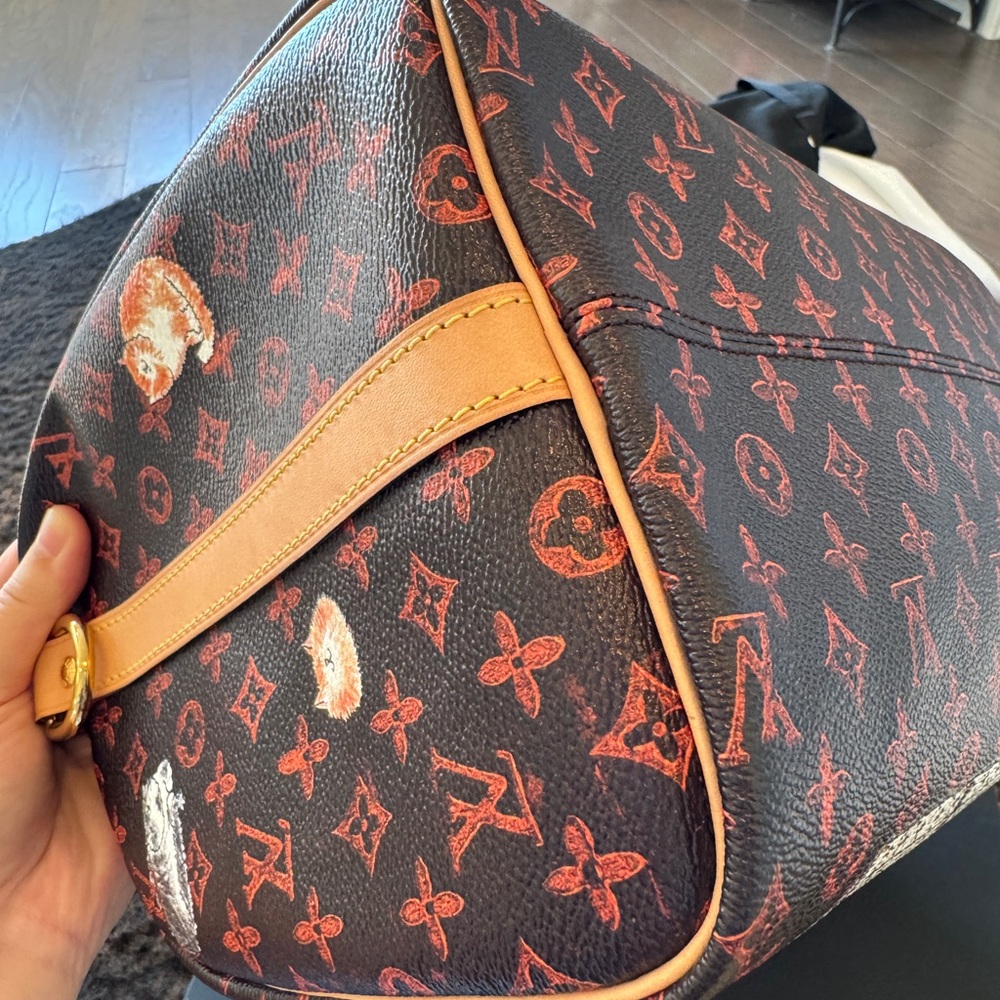 Grace Coddington Louis Vuitton Monogram Cat Speedy 30 Bag - Picture 7 of 10